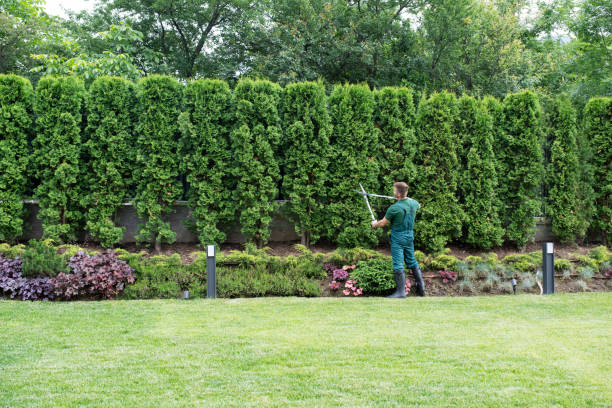 Best Tree and Shrub Care  in Valparaiso, FL